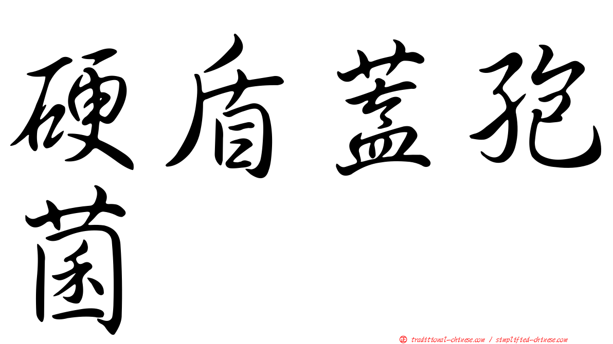 硬盾蓋孢菌