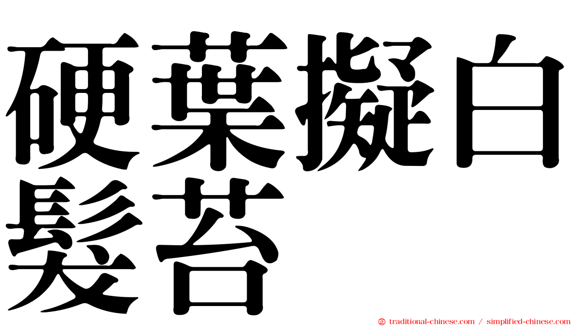 硬葉擬白髮苔