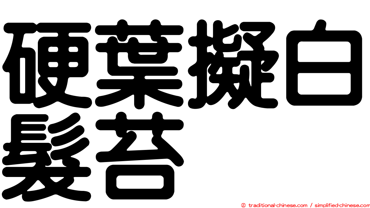 硬葉擬白髮苔