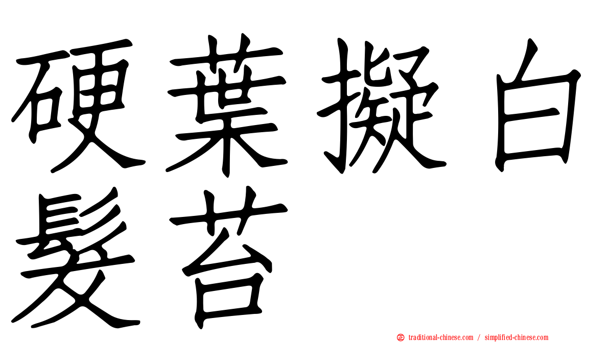 硬葉擬白髮苔