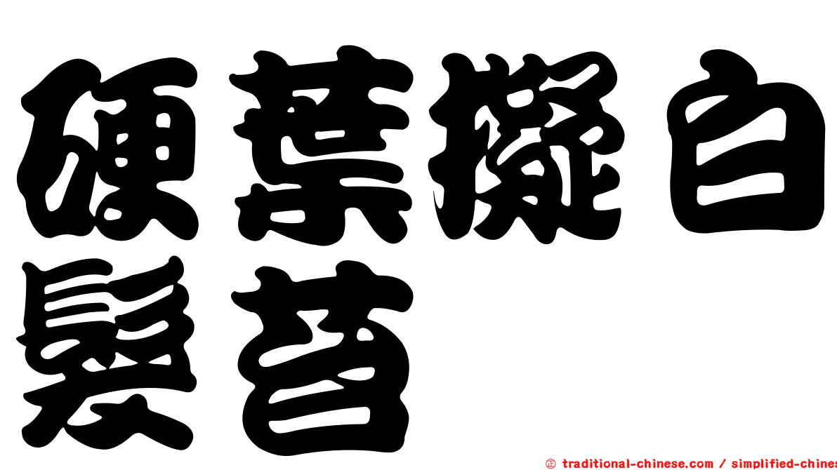 硬葉擬白髮苔