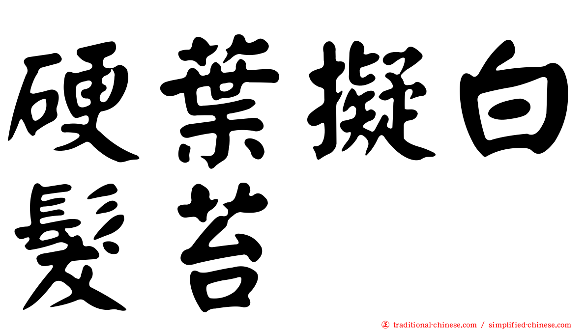 硬葉擬白髮苔