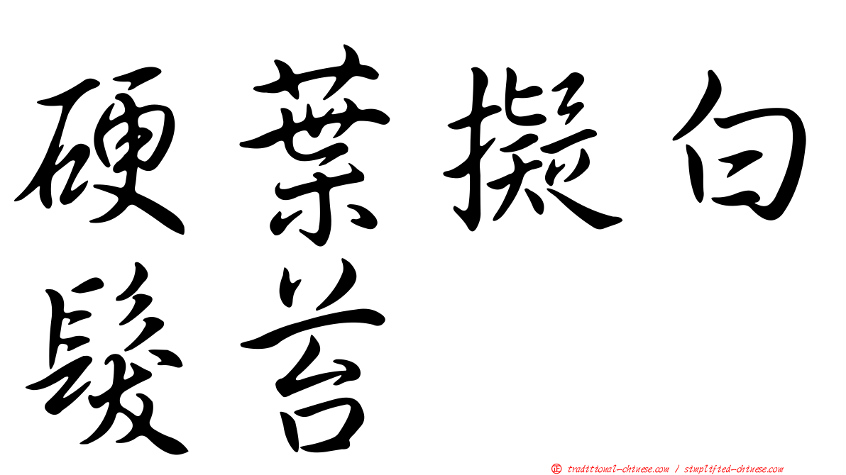 硬葉擬白髮苔