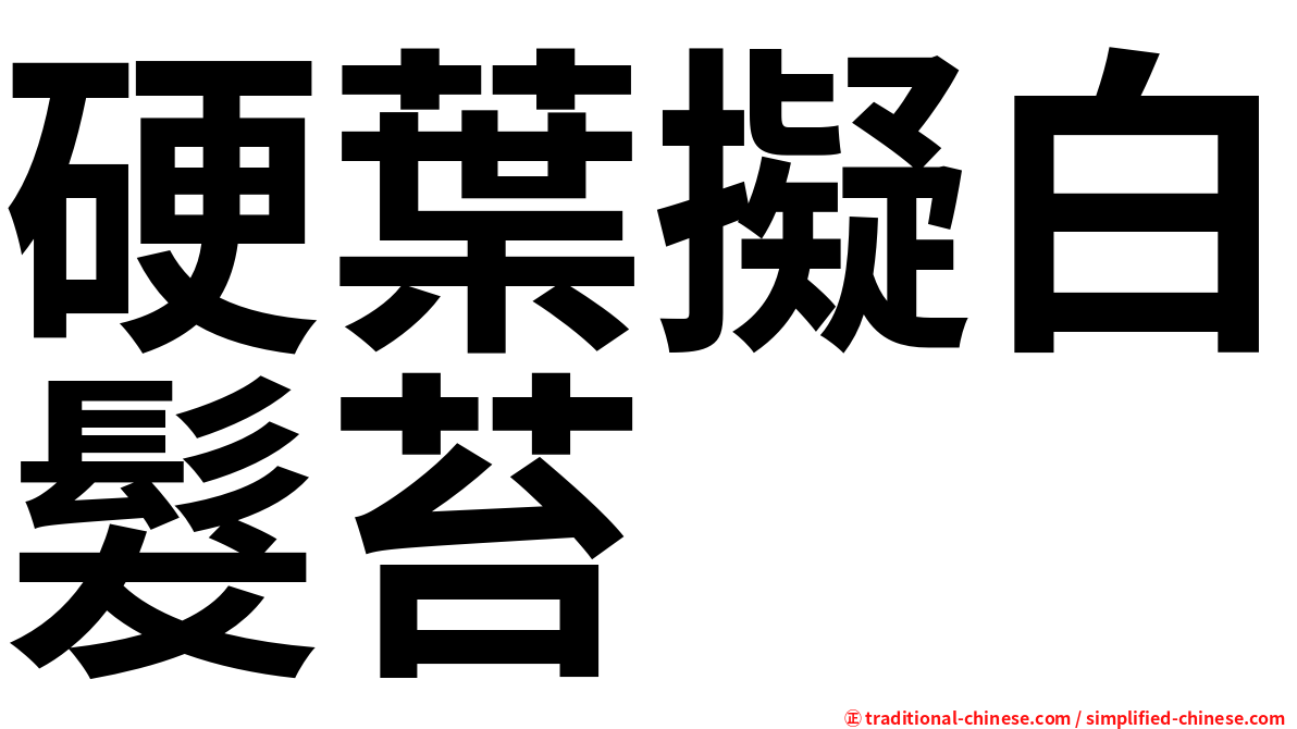 硬葉擬白髮苔