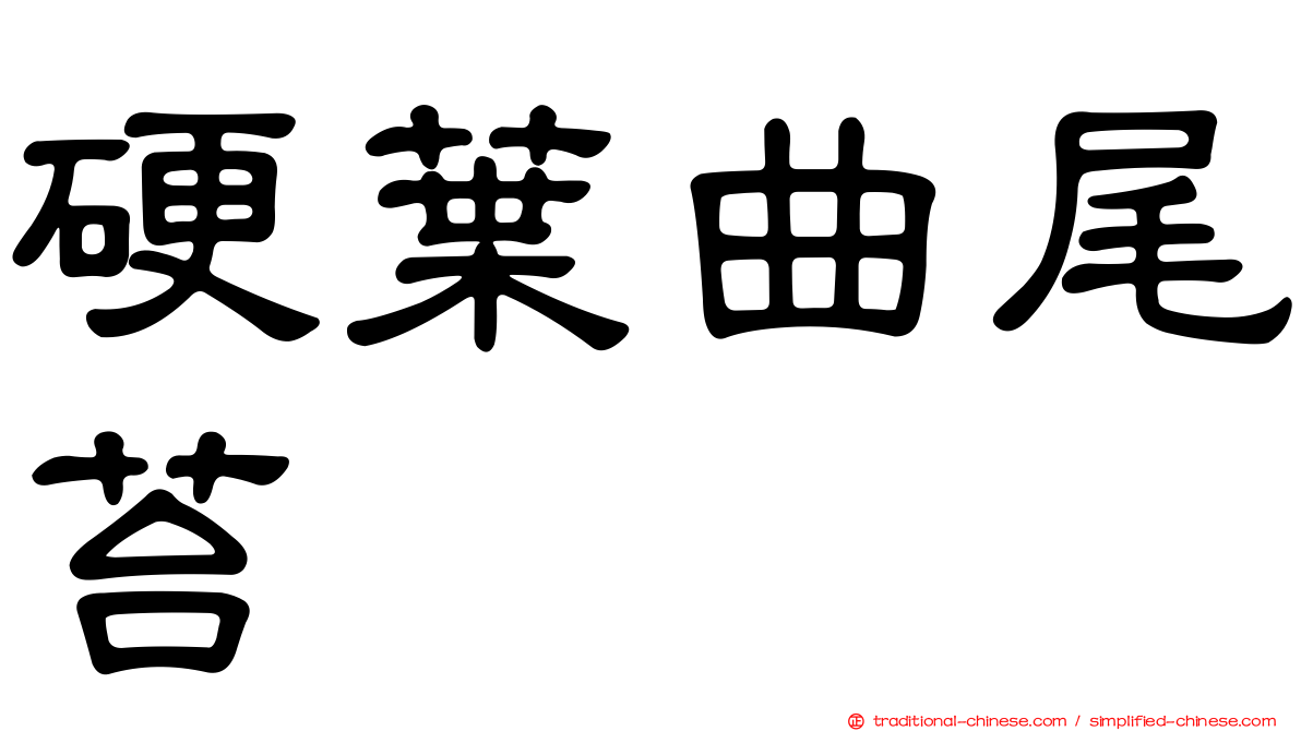 硬葉曲尾苔