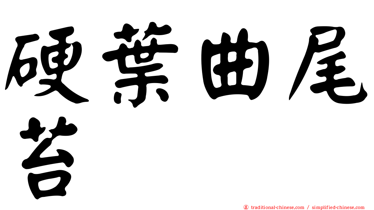 硬葉曲尾苔