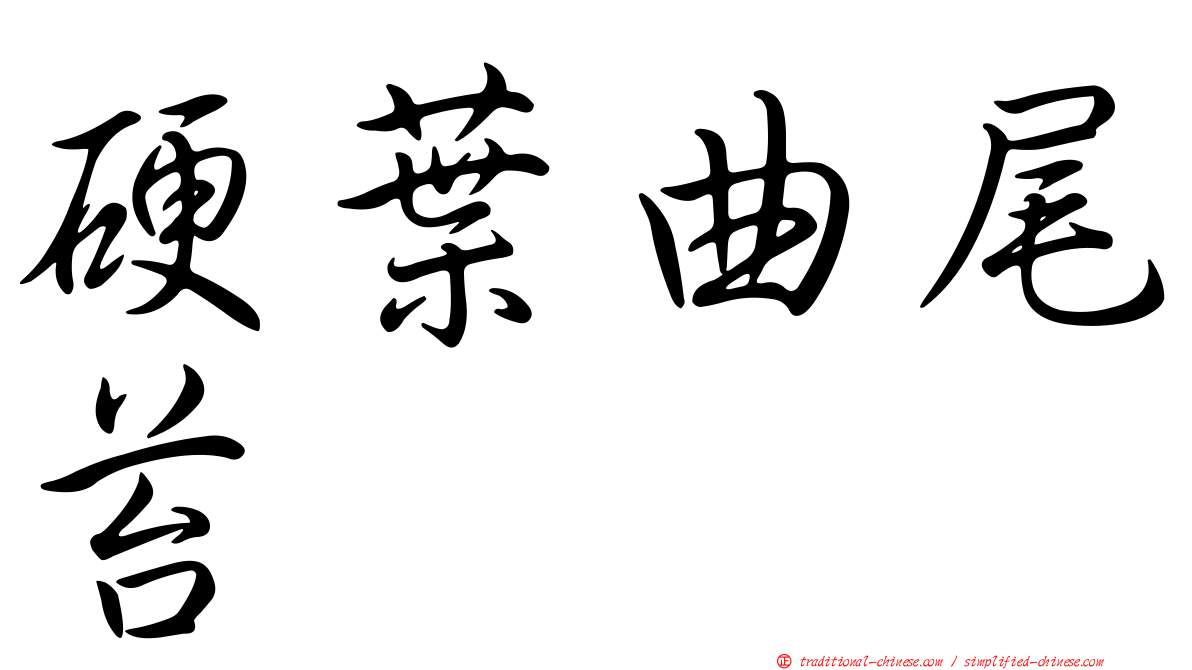 硬葉曲尾苔