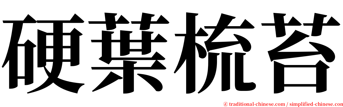 硬葉梳苔 serif font