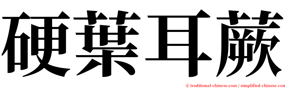 硬葉耳蕨 serif font