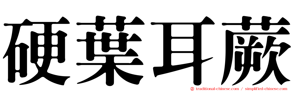 硬葉耳蕨