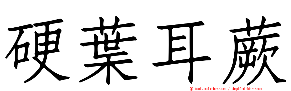 硬葉耳蕨