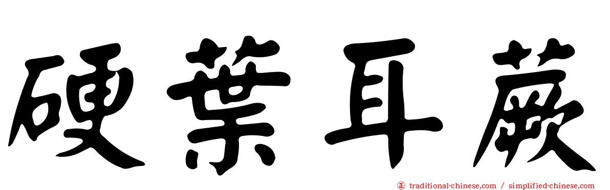 硬葉耳蕨