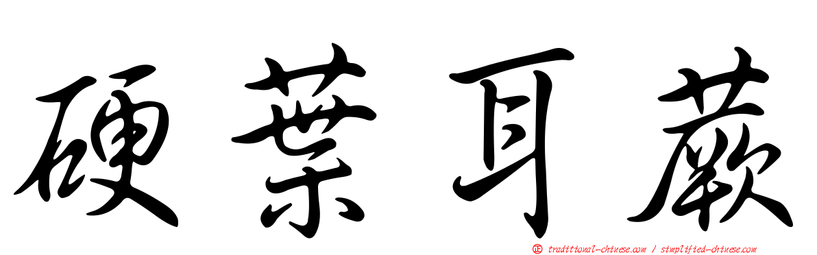 硬葉耳蕨