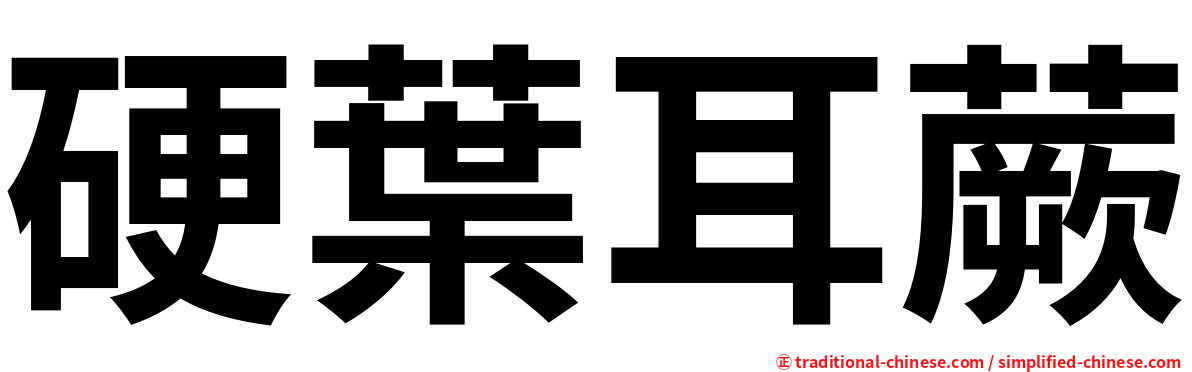 硬葉耳蕨