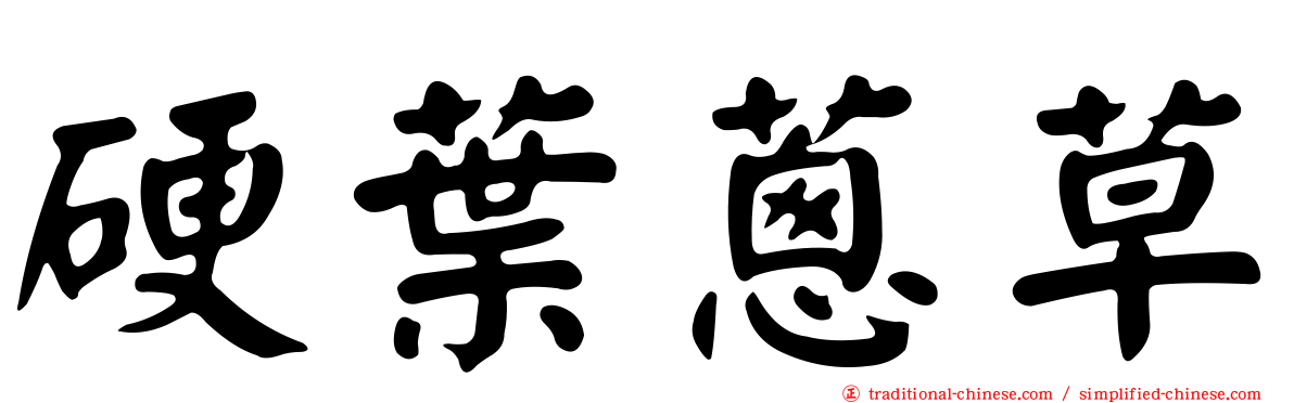 硬葉蔥草