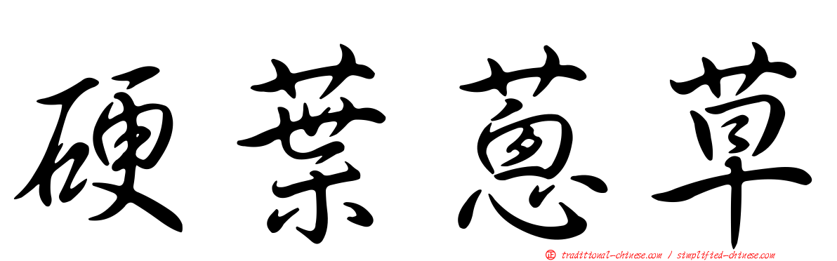 硬葉蔥草