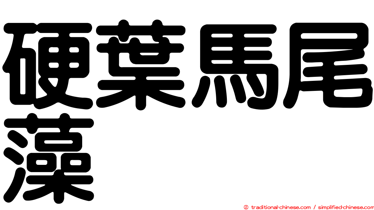 硬葉馬尾藻