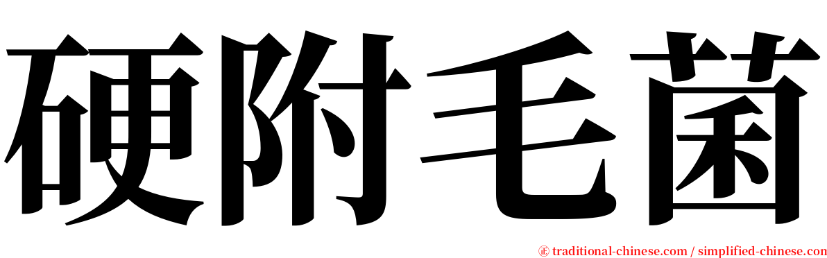 硬附毛菌 serif font