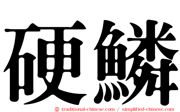 硬鱗
