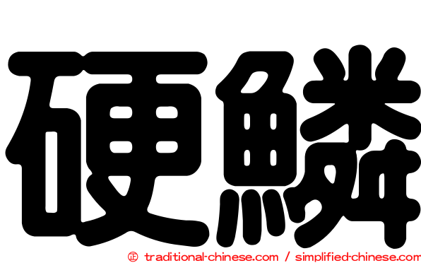 硬鱗