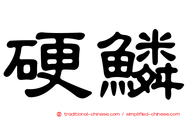 硬鱗