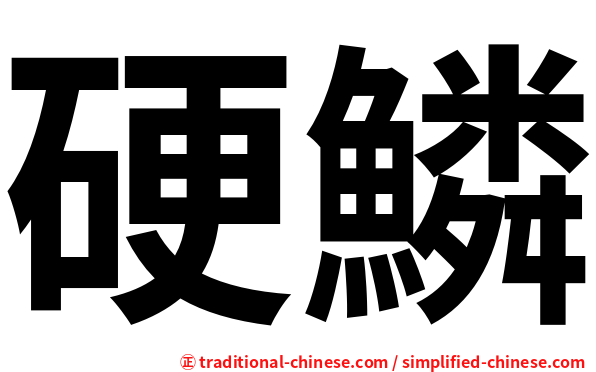 硬鱗