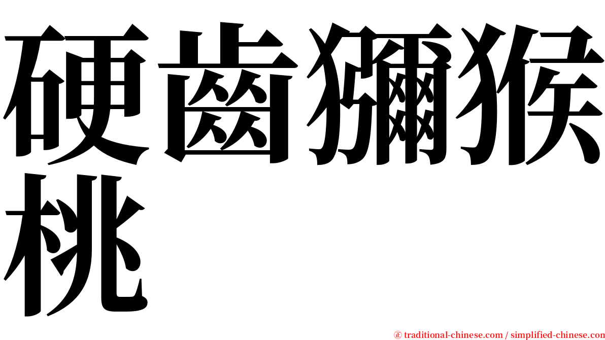 硬齒獼猴桃 serif font
