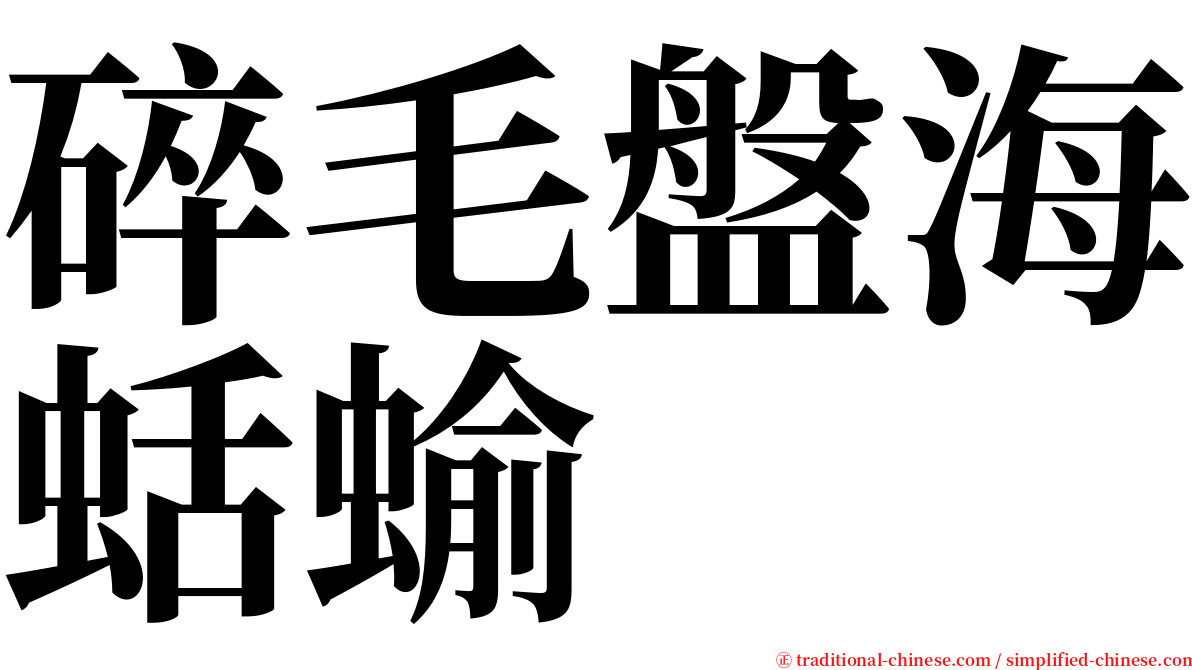 碎毛盤海蛞蝓 serif font