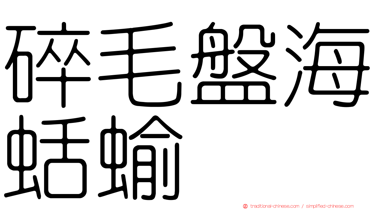 碎毛盤海蛞蝓