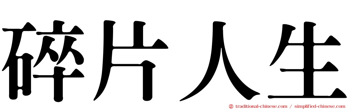 碎片人生