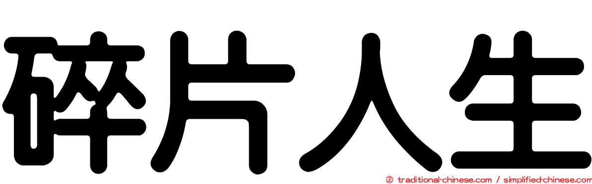 碎片人生