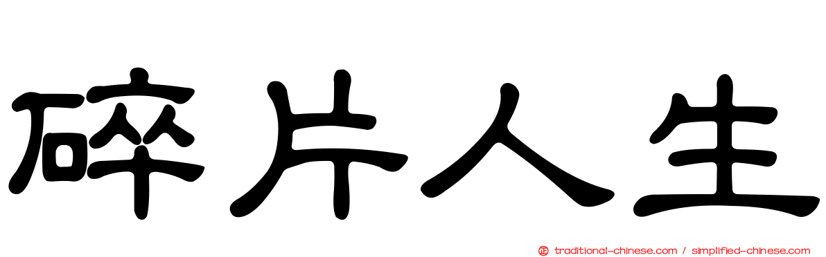 碎片人生