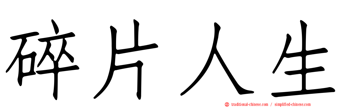 碎片人生