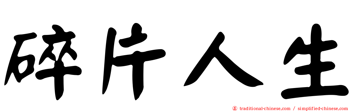 碎片人生