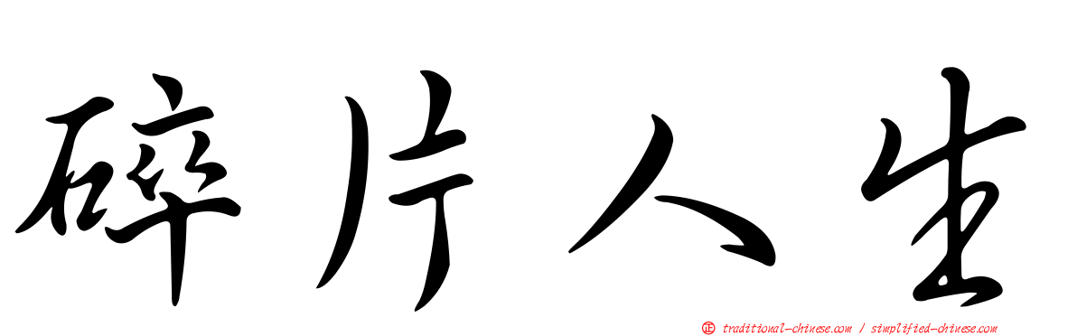 碎片人生