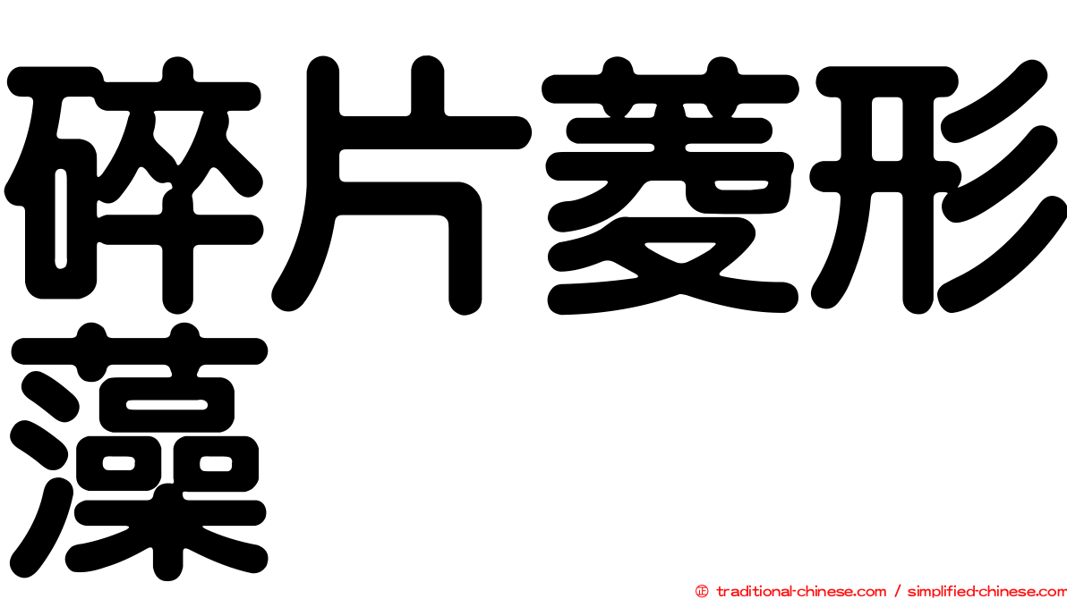 碎片菱形藻