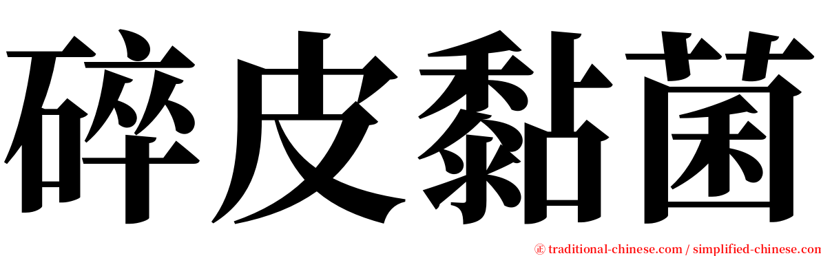 碎皮黏菌 serif font