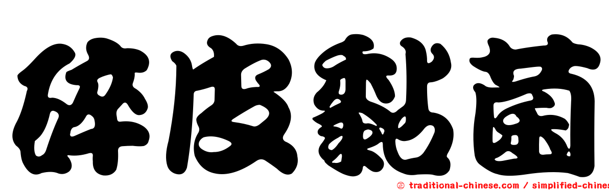 碎皮黏菌