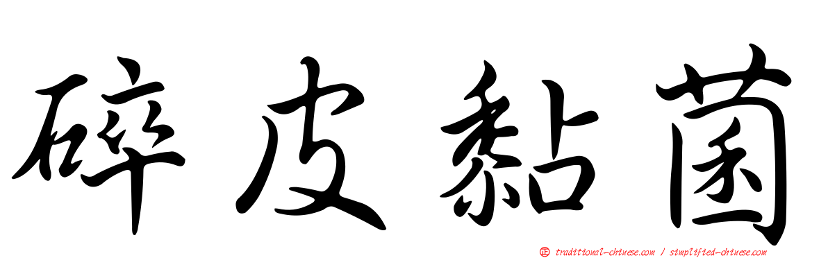 碎皮黏菌