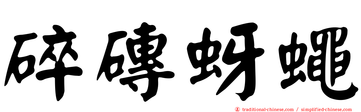 碎磚蚜蠅