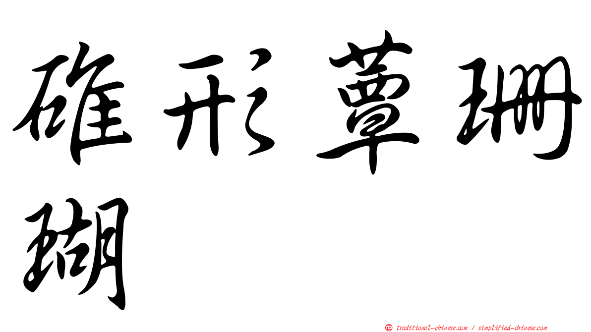 碓形蕈珊瑚