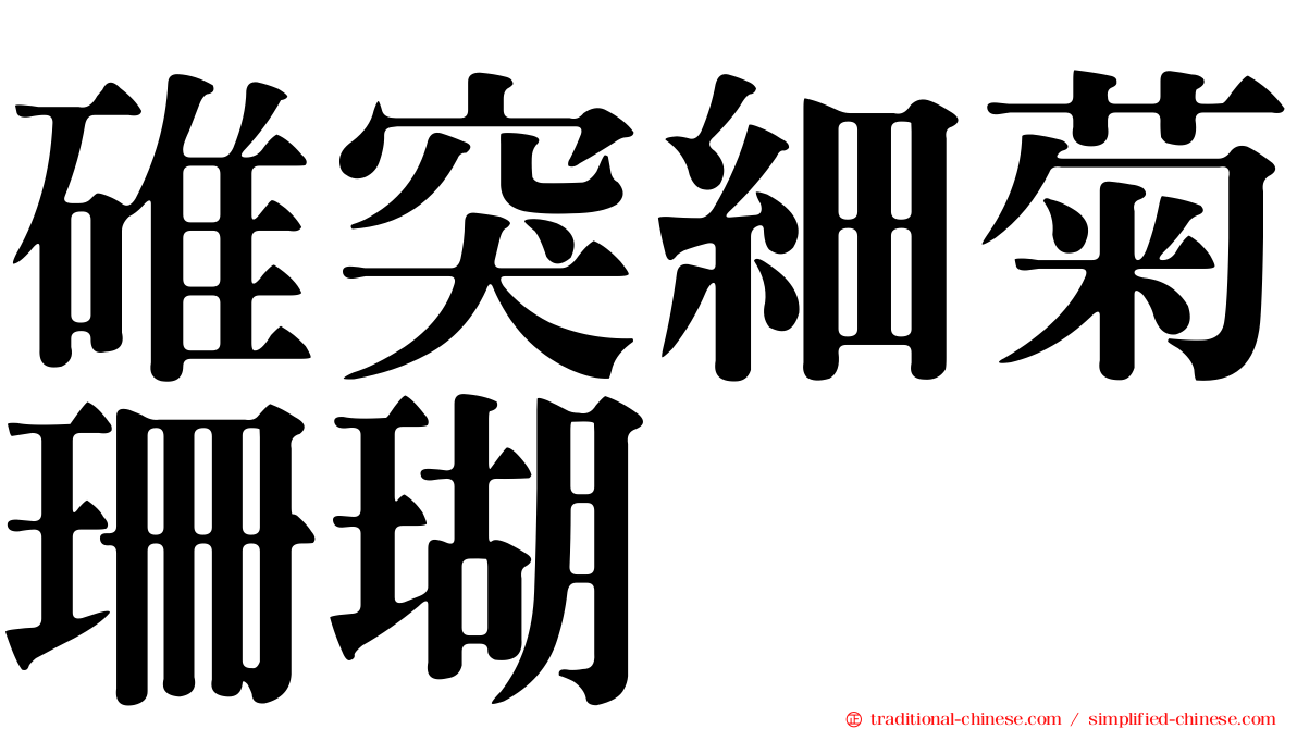 碓突細菊珊瑚