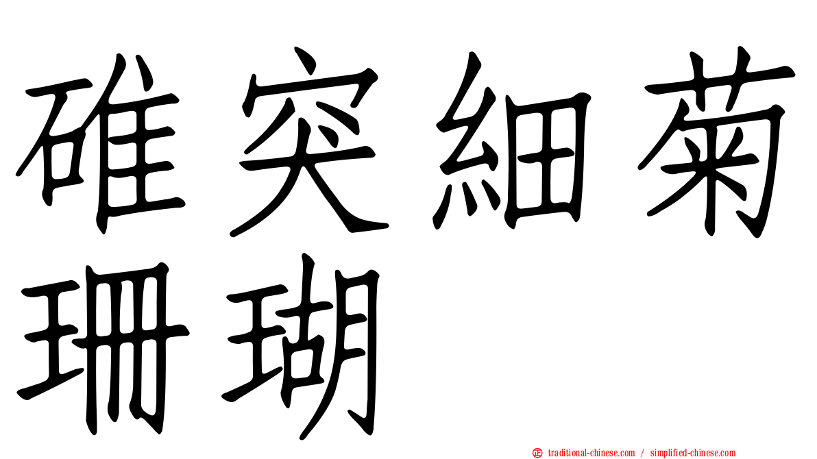 碓突細菊珊瑚
