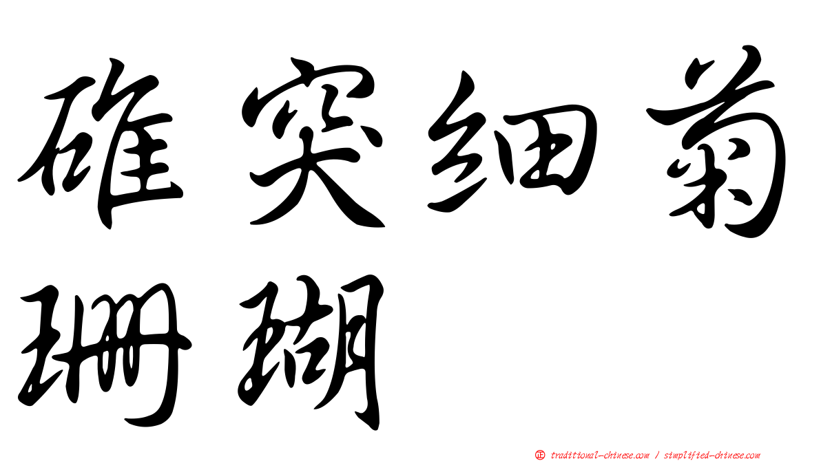 碓突細菊珊瑚