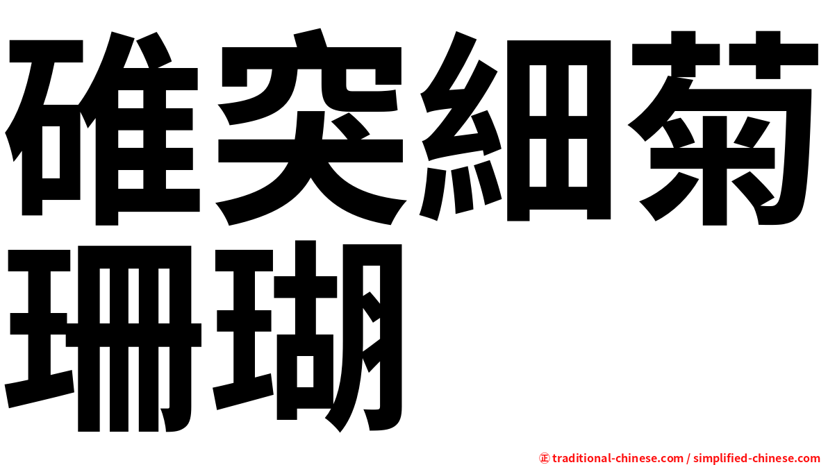 碓突細菊珊瑚