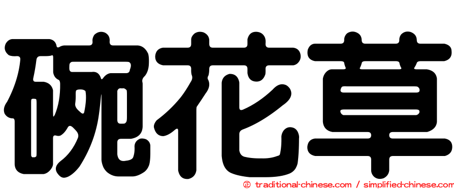 碗花草