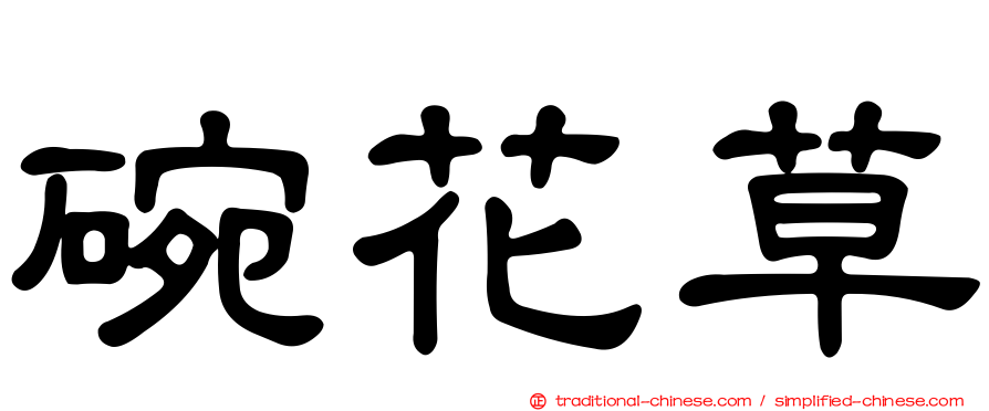 碗花草