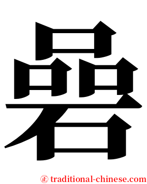 碞 serif font