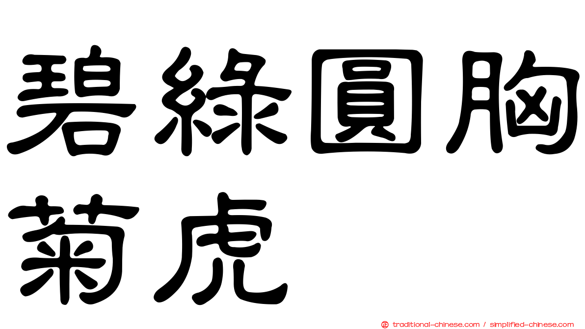 碧綠圓胸菊虎