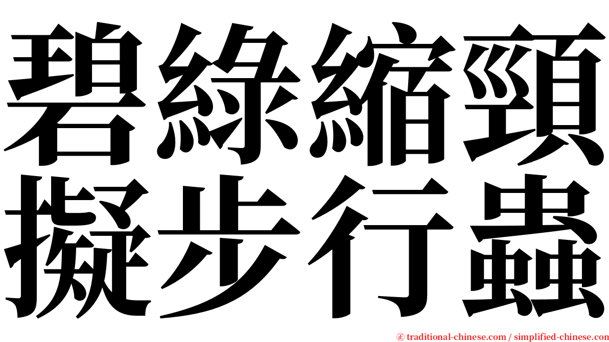 碧綠縮頸擬步行蟲 serif font